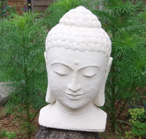 Stone Buddha Head