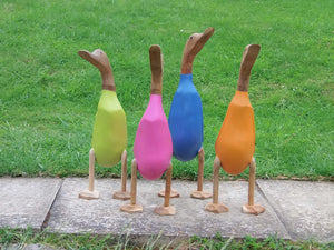 Wooden ducks