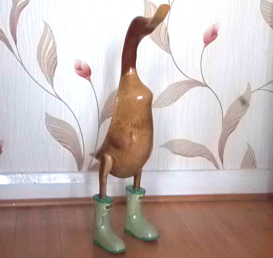 How wooden ducks captured our hearts