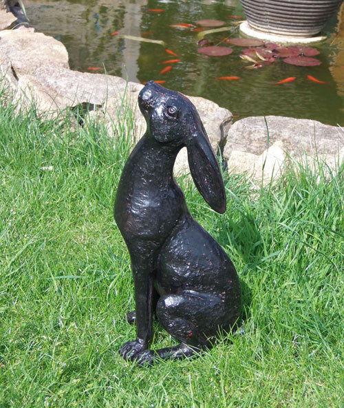 Hare addition to our garden range