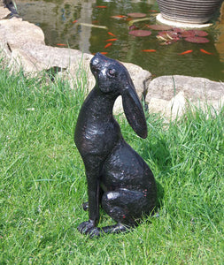 Hare addition to our garden range