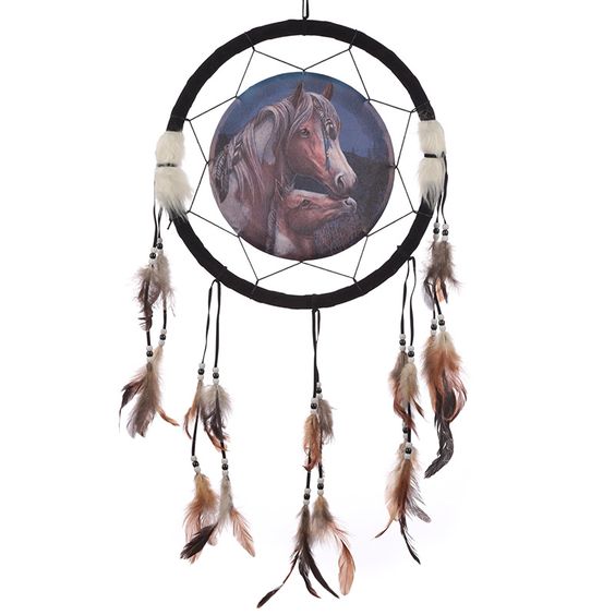 Dreamcatchers