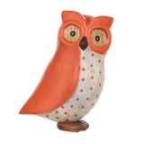 Dcuk Owl