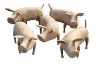 Pig set