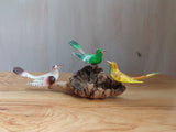 Colourful birds on parasite wood