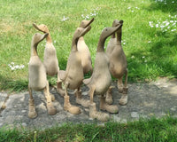 Duck in boots Wholesale