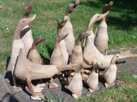 Wooden Duck package 2
