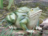 Garden Frog Statue
