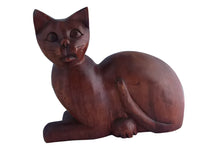 resting cat