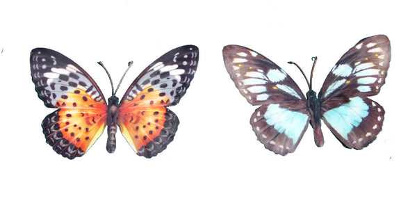 butterfly set