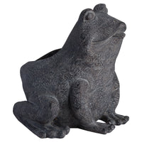 frog plant pot holder