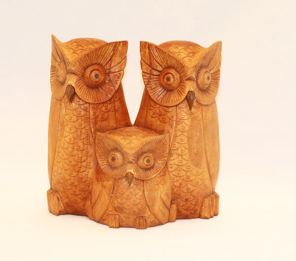 owl family