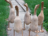 Wooden Ducks (Grade 2)