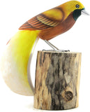 Wooden Bird of Paradise