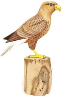 Wooden Bird White Tailed Eagle