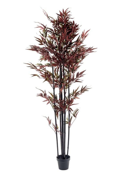 red plant