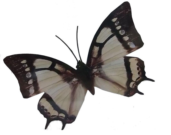 Butterfly Metal Wall Ornament Medium