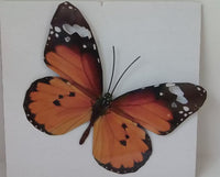 Butterfly Metal Wall Ornament Medium