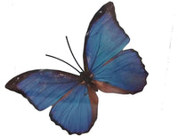 Butterfly Metal Wall Ornament Medium
