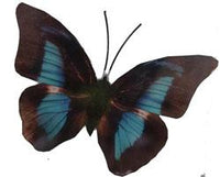 Butterfly Metal Wall Ornament Medium