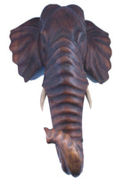 elephant head