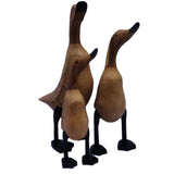Wooden Duck family of three