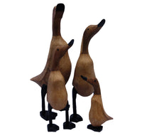 Wooden Duck Family Group
