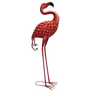 flamingo forward