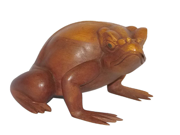 Tropical Toad