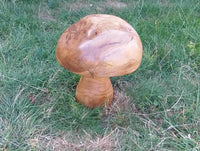 Garden Mushroom