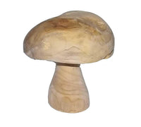 Garden Mushroom