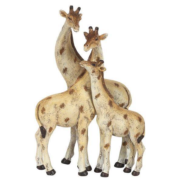 giraffe family