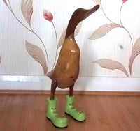 Ducks in Boots and laces