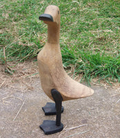 CLEAR DUCK