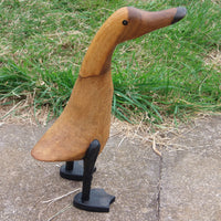 STAIN DUCK