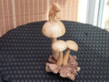 Wooden Mushroom with Mouse