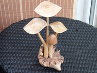 Wooden Mushrooms