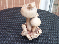 Mushroom frog
