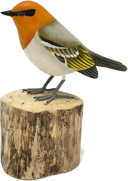 Wooden Bird Olive Warbler