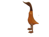 orange duck