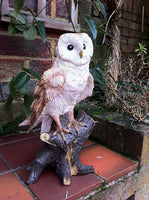 Other Garden Ornaments - Barn Owl Garden Ornament