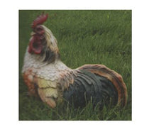 Other Garden Ornaments - Cockerel Garden Ornament