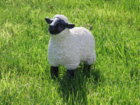 Other Garden Ornaments - Lamb With Black Face Garden Ornament