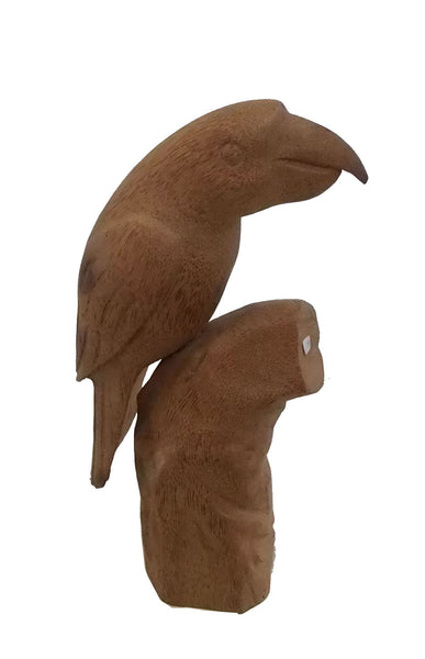 parrot