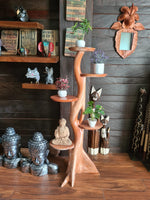 display stand
