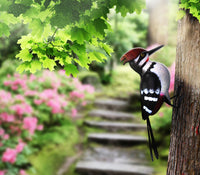woodpecker